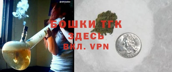 молекула духа Елабуга