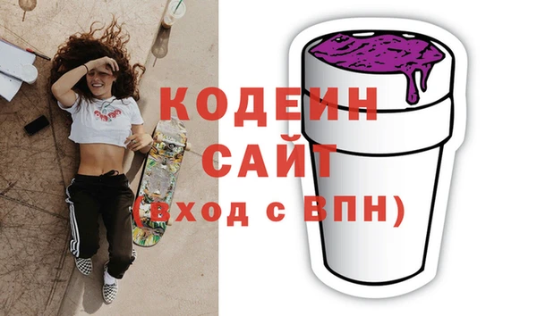 молекула духа Елабуга