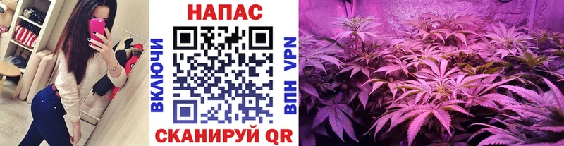 Конопля OG Kush купить закладку Камышлов